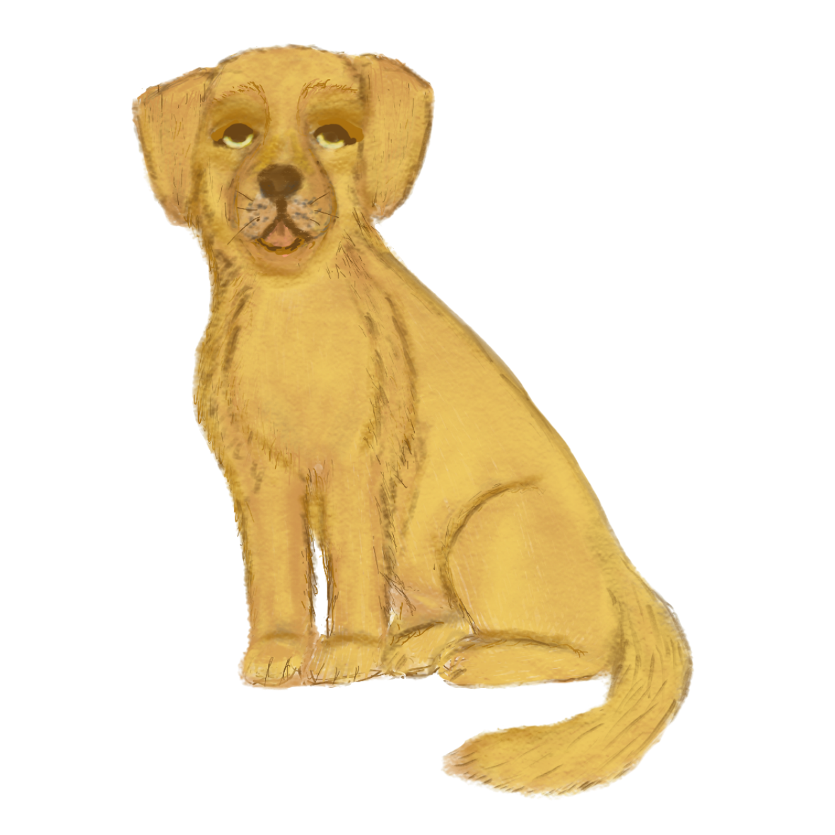 Hand Drawn Golden Retriever Dog Vinyl Sticker