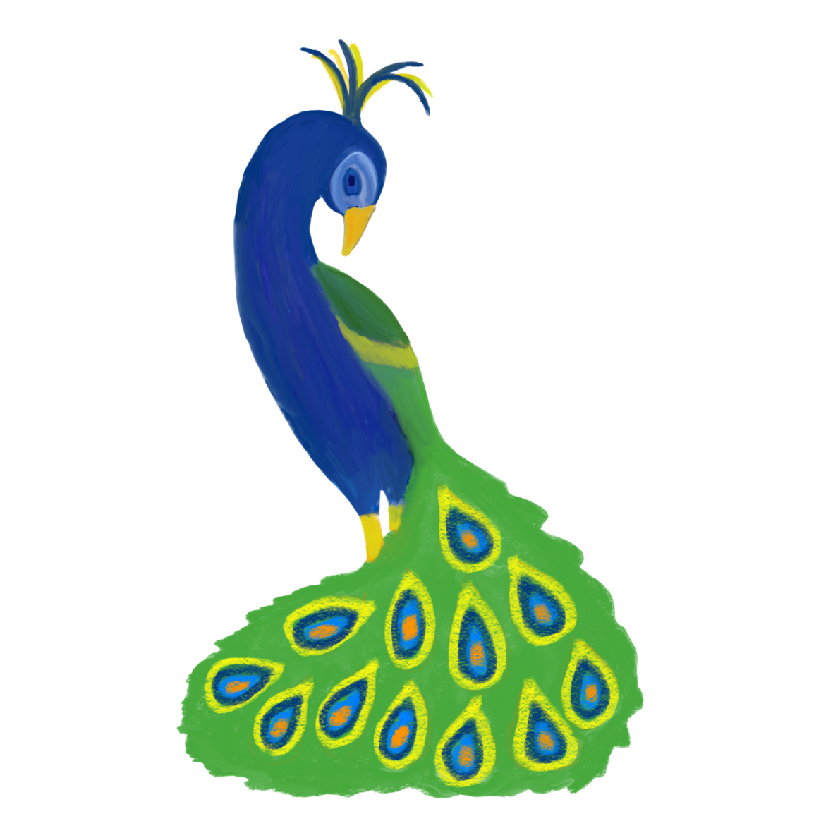 Hand Drawn Peacock Vinyl Sticker
