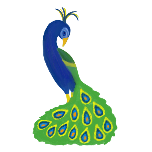 Hand Drawn Peacock Vinyl Sticker