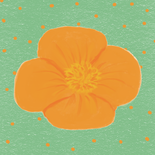 Hand Drawn California Poppy Vinyl Sticker