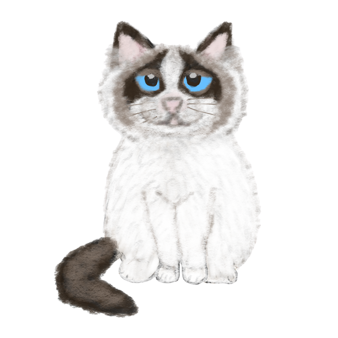 Hand Drawn Ragdoll Cat Vinyl Sticker